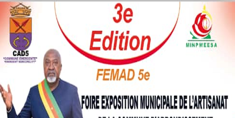 FEMAD 5e